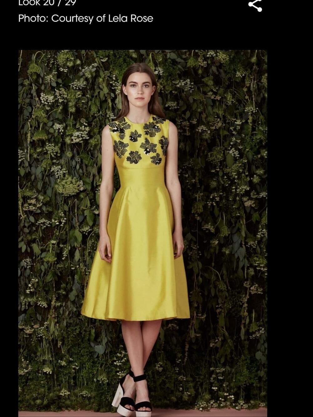 Lela Rose Graphic Citrine Dress - Picture 6 of 6